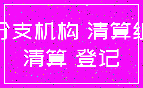 分支机构 清算组_清算 登记