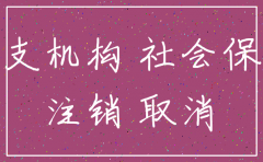分公司注销欠总公司的钱