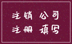 刚注册的公司注销怎么办