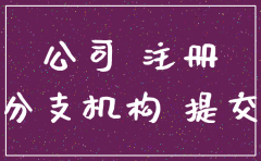 分公司注销分立不动产