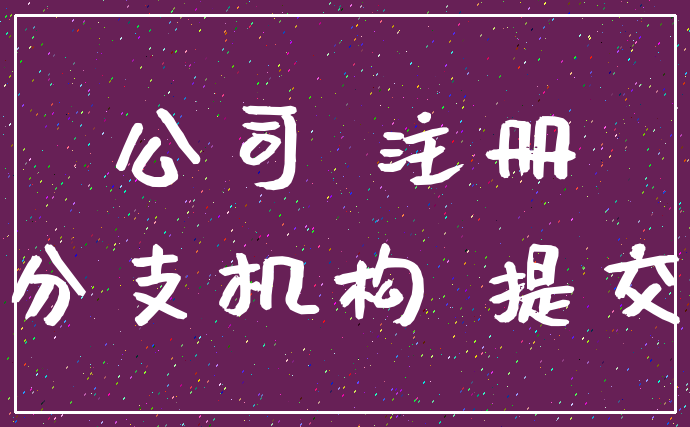 公司 注册_分支机构 提交