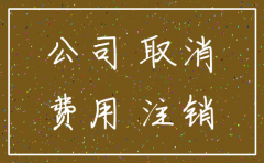 上海徐汇代理公司注销