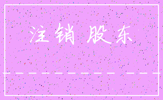 注销 股东___________ ____