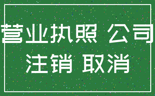 营业执照 公司_注销 取消