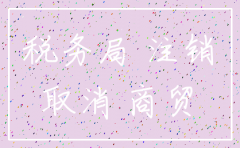 个人商贸有限公司注销