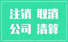 分公司已注销如何起诉