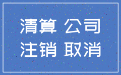 工商网公司一般注销资料
