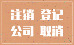 注销公司的联络员
