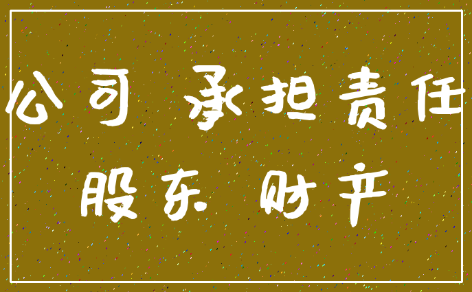 公司 承担责任_股东 财产