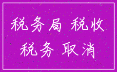 税审报告 注销公司