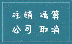 申请注销公司报告怎么写