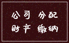 公司注销后剩余财产分配合同