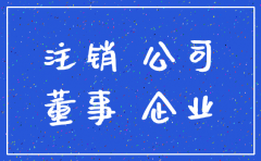 公司只有执行董事的注销