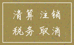 公司工商注销清算报告怎么写