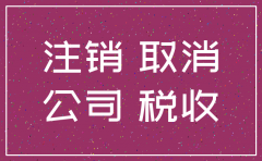 公司注销后财务负责人