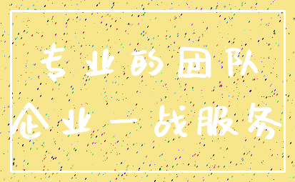 专业的团队_企业一战服务