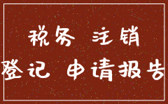分公司注销税务登记报告