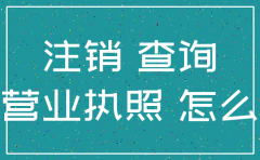 甘肃工商网上公司注销