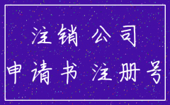 典当公司注销申请怎么写