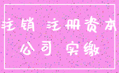 注销公司资金无实缴说明怎么写