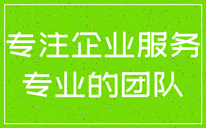 专注企业服务_专业的团队