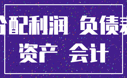 分配利润 负债表_资产 会计