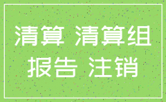 公司注销评估报告范本