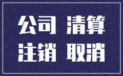 ppp项目项目公司注销流程图