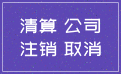 公司注销会查哪些资料