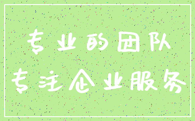 专业的团队_专注企业服务