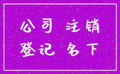 名下有末注销公司