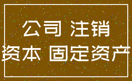 公司 注销_资本 固定资产