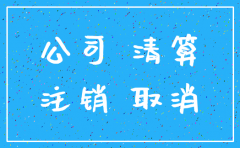 分公司注销档案