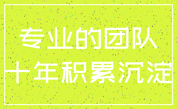 专业的团队_十年积累沉淀