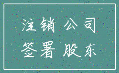 注销公司代替签字怎么办