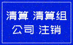 公司注销债务清算表