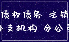 分公司注销债权债务说明书
