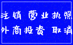 外资公司分公司注销流程