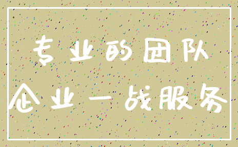 专业的团队_企业一战服务