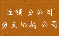 分公司注销总公司证明国税需要