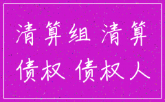 分公司注销清算组成员要求