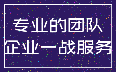 专业的团队_企业一战服务
