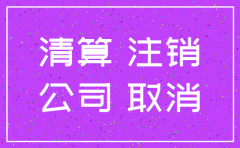公司注销国税申明书