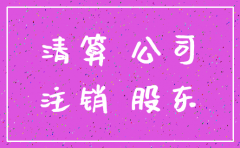 公司注销后剩余财产的归属