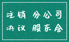 董事会关于注销分公司的决议