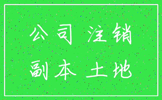公司 注销_副本 土地
