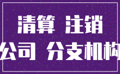 企业子公司注销证明