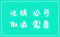 注销未开展业务公司的流程图