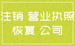 公司恢复注销申请