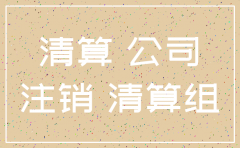 2016公司注销清算方案